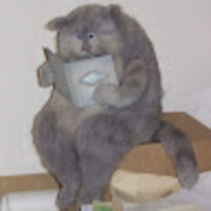 Meet your Posher, Diego